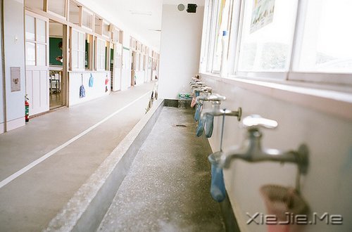 晚安心语:坚强向上,靠近阳光 (4)