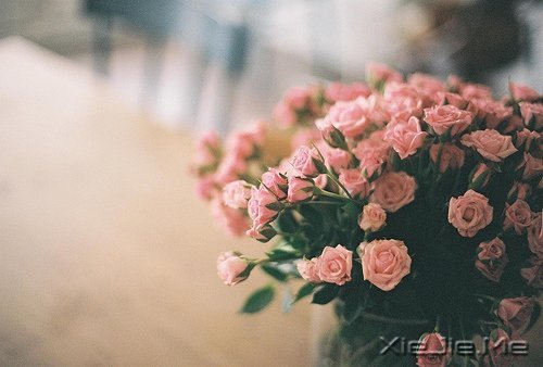 安静下来才能看到真实的自己 (4)
