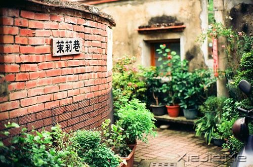 晚安心语:不要因为一时的心烦,做出一辈子的傻事 (8)