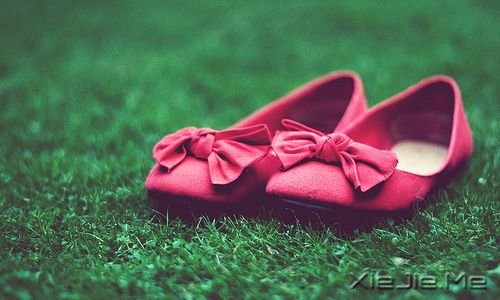 �簲���ָ���Լ�����������ת�� (2)