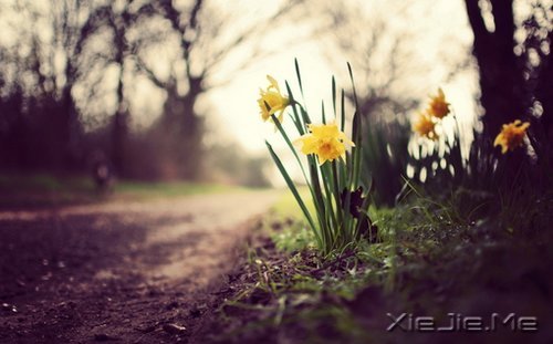 ������¼��ֻҪ�ʺ��Լ��������Ҹ� (13)