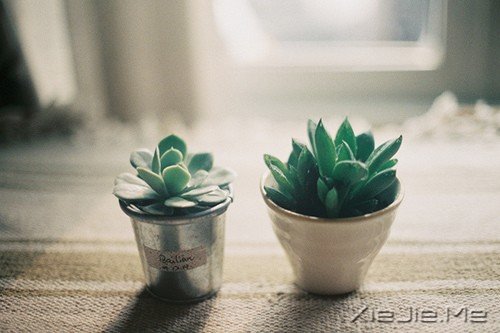 学会改变自己